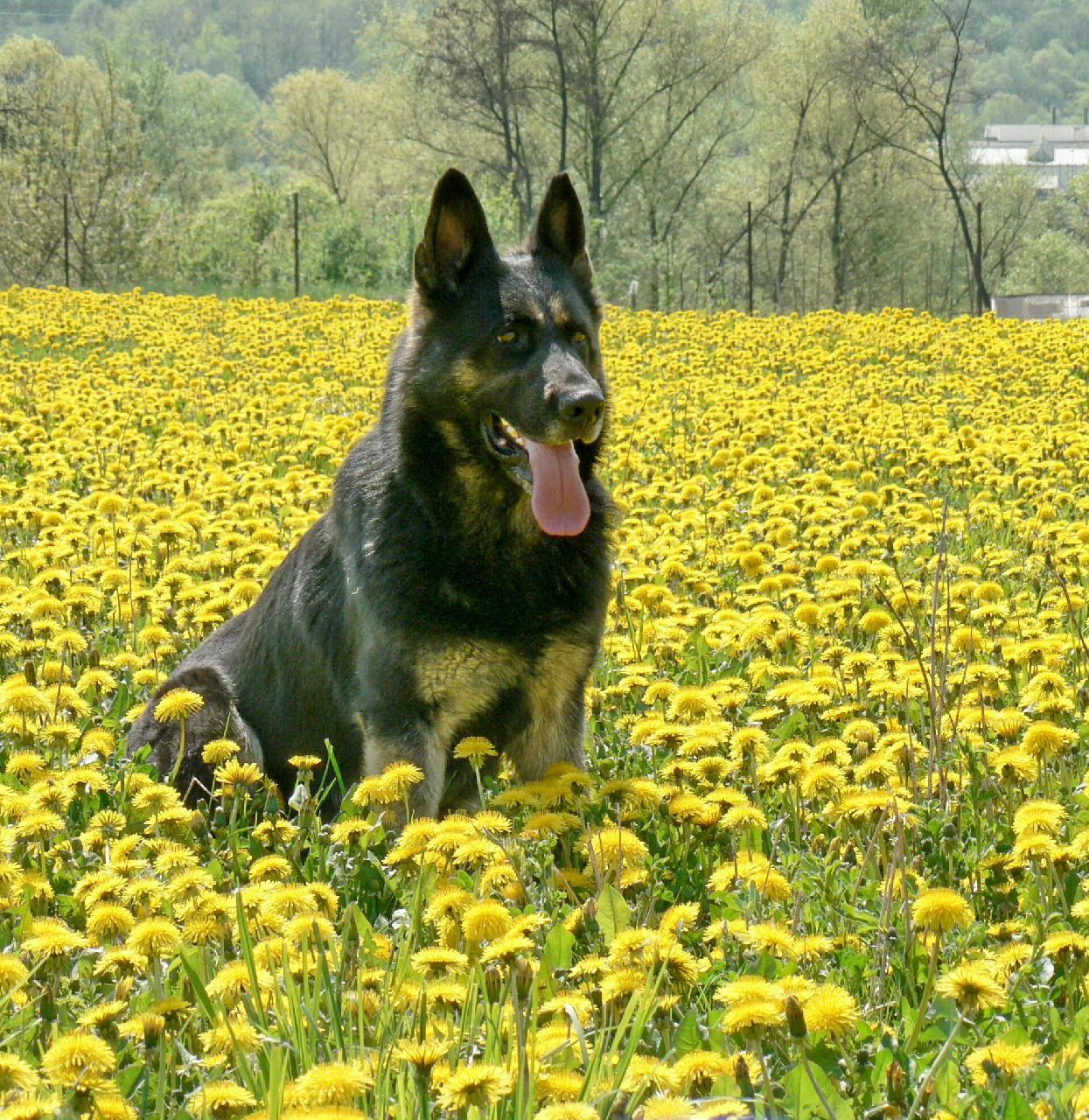 Foto: Gera