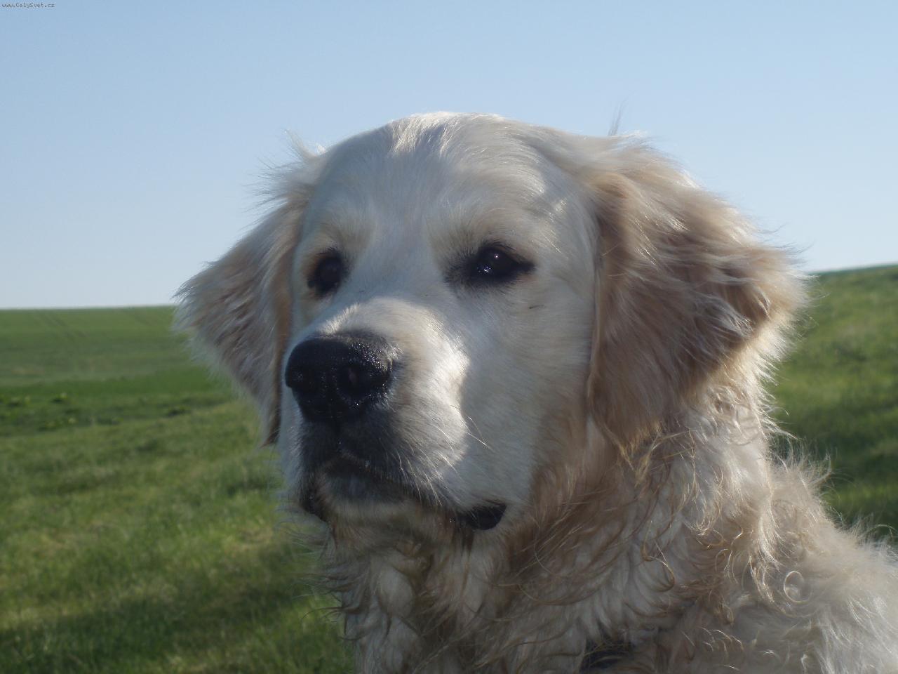 Foto: Lucky