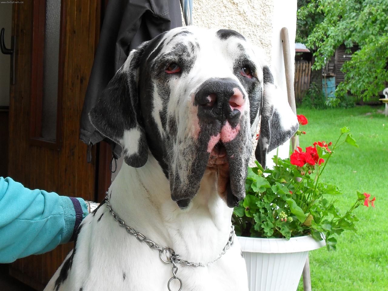 Foto: argus