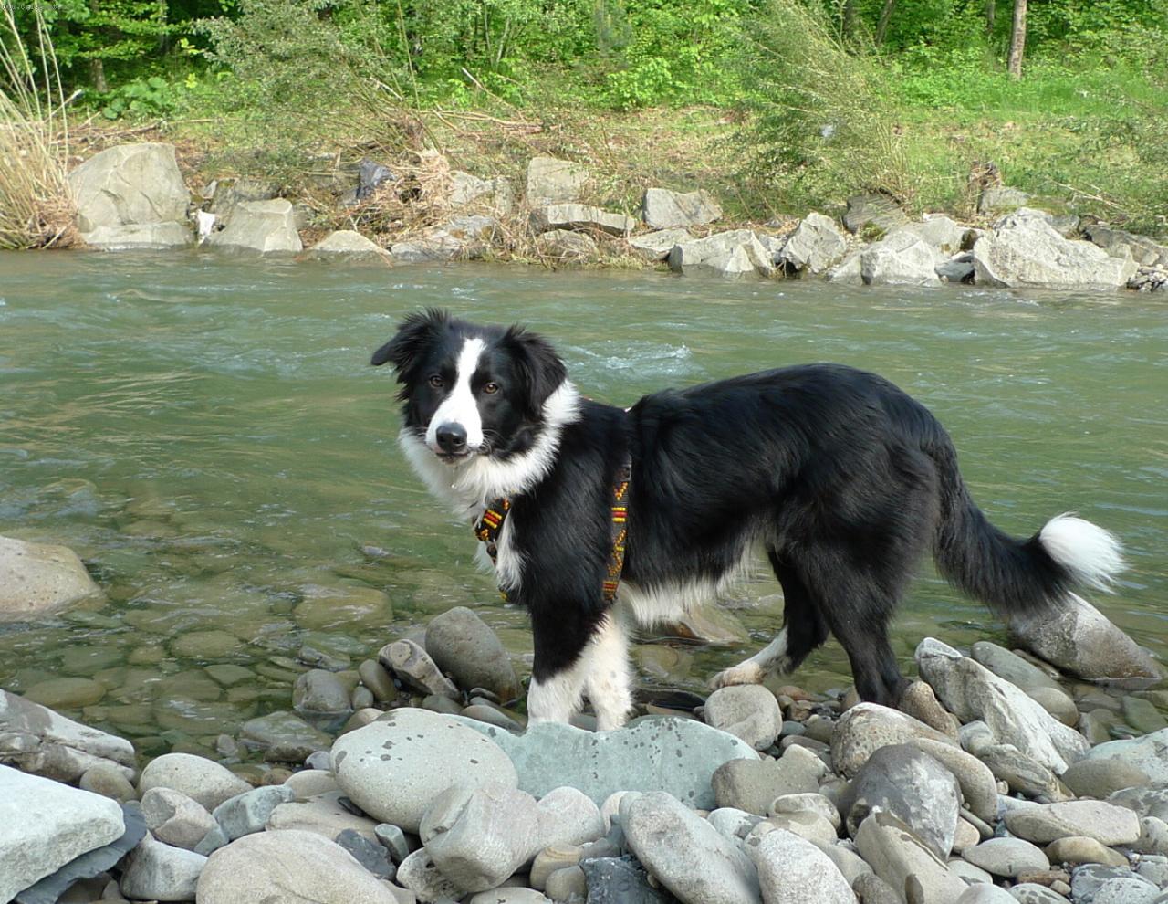 Foto: Ronny