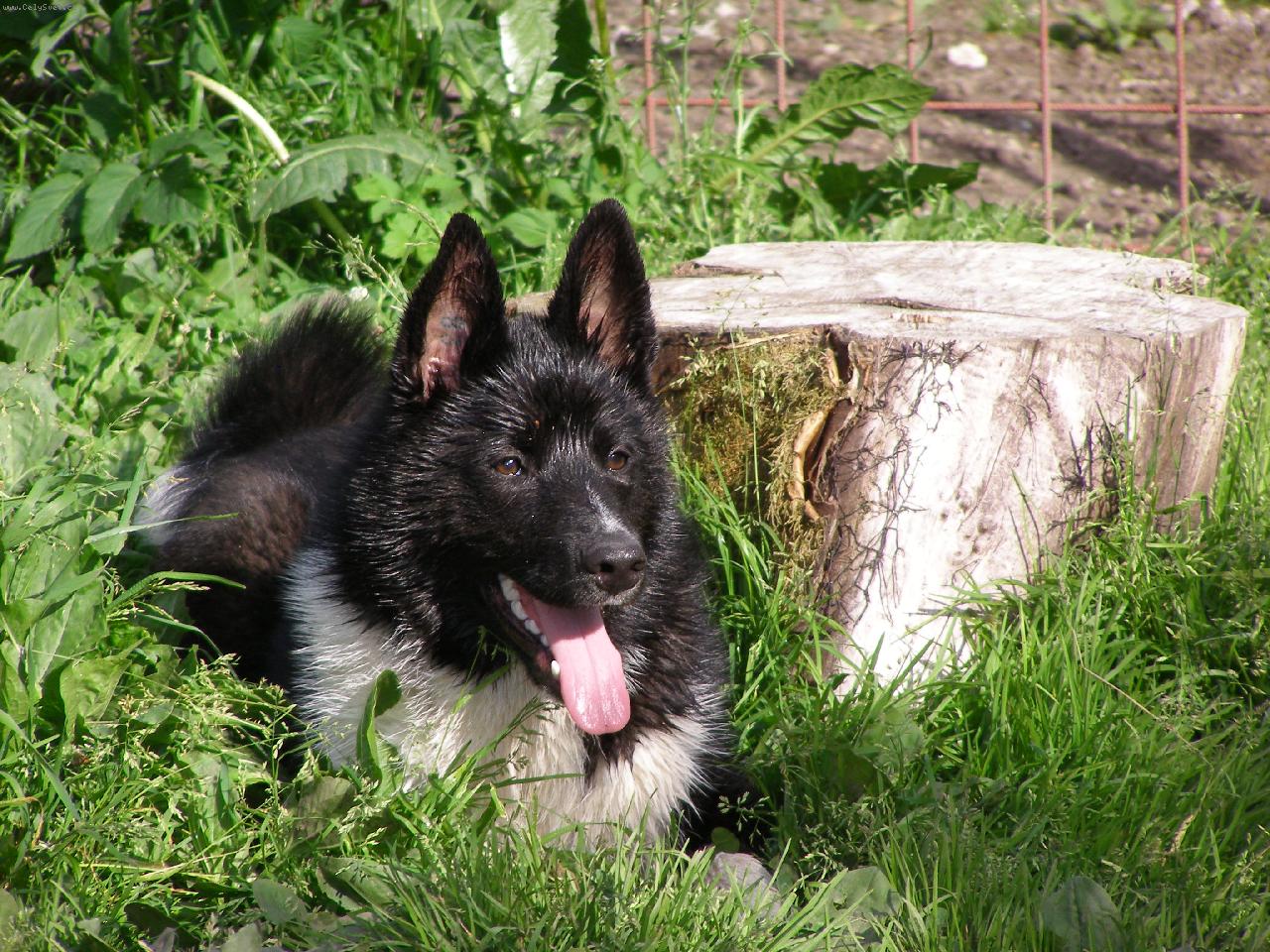 Foto: *-Bub�k