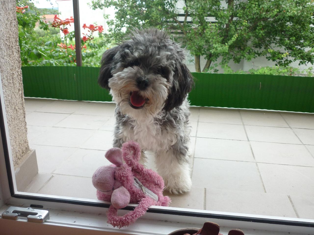 Foto: Luki