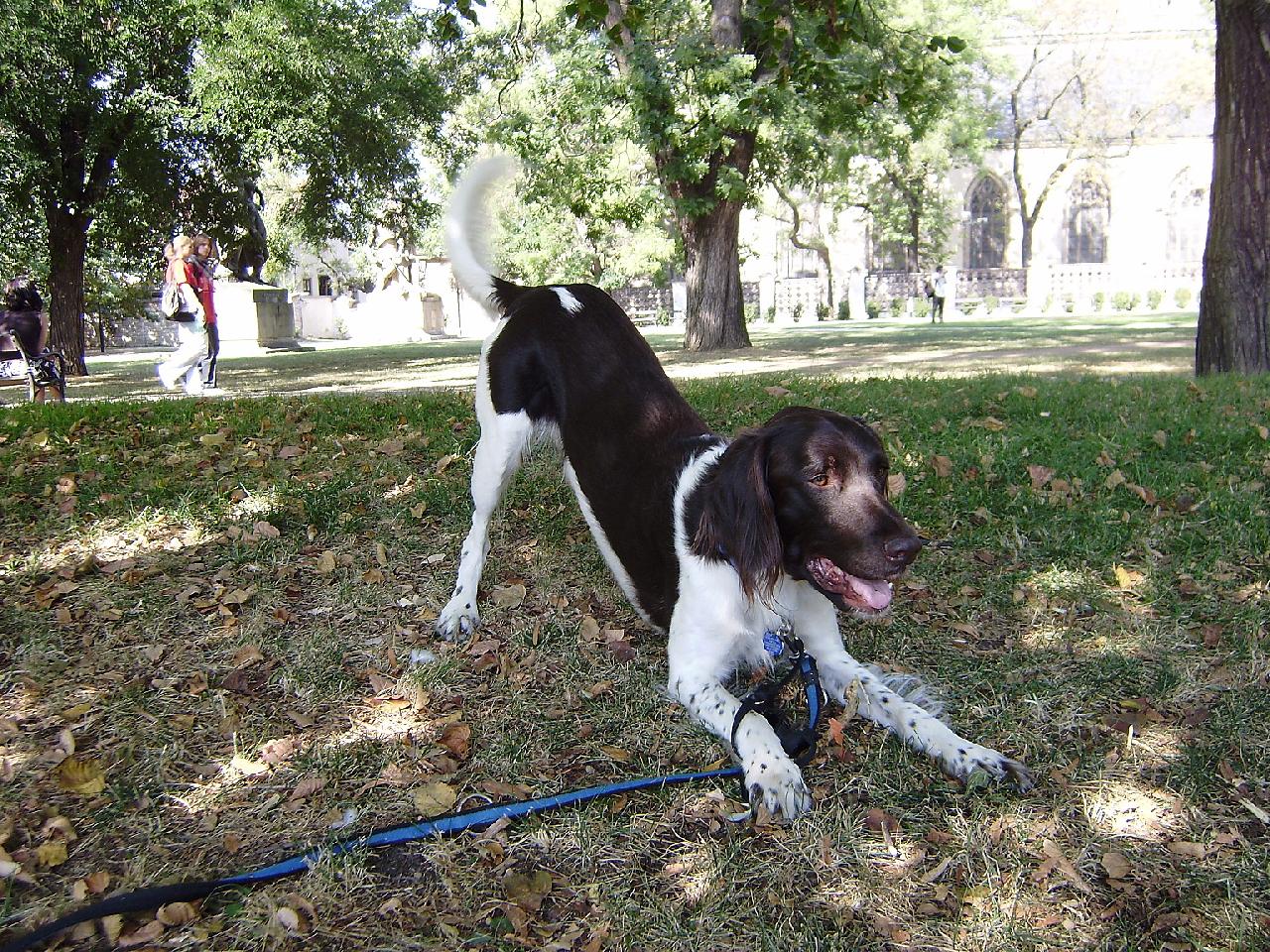 Foto: Argo - 4 roky