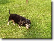 na�e Betynka
