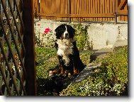 Na str�i...