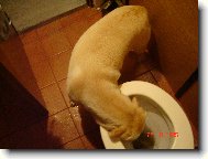 N�co dobr�ho???