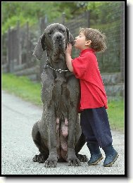 Kamar�dky.....