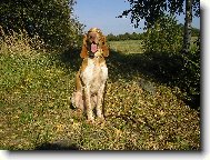 Claudia od Melmat�je