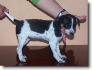 n�e �t�natko