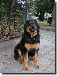 Odpo�inek