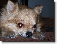 Odpo�inek-�iky