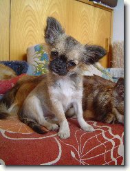 �arinka