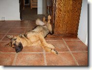 Spink�n�