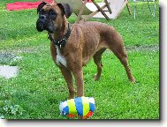 AG�TKA