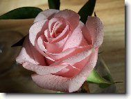 m� p�cha