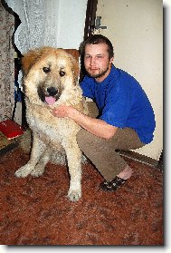 arch�