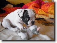 N� Dane�ek