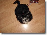 N�rou�ek