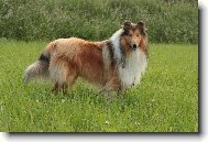 Cody z Josefovsk� pevnosti