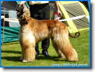 Garcia z Netluck�ch pastvin