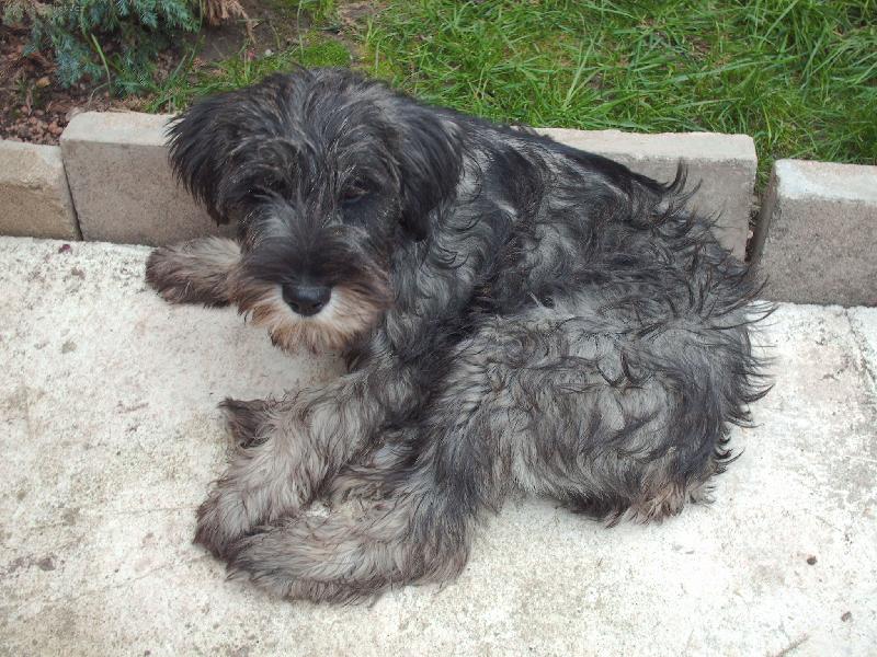 Foto: Na�e Kira