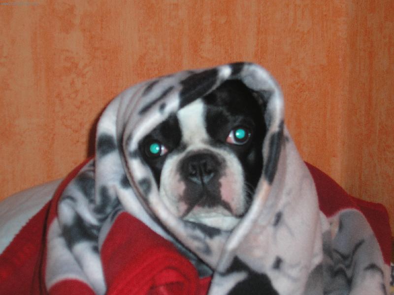 Foto: je mi zima