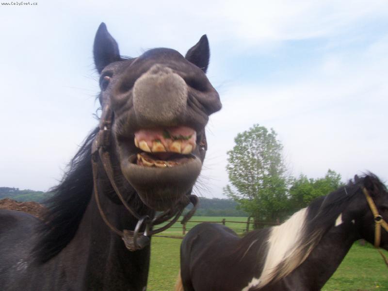 Foto: Libero-HEH:D