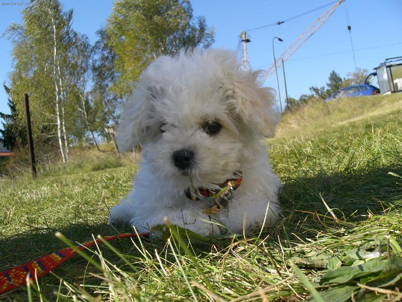 Foto: Jessie