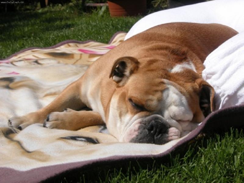 Foto: Max