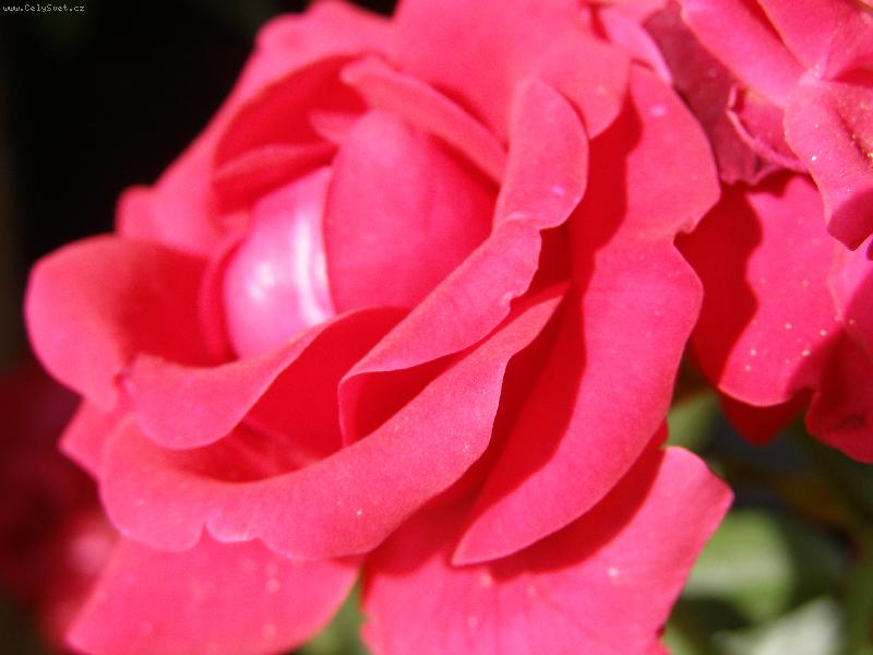 Foto: ...