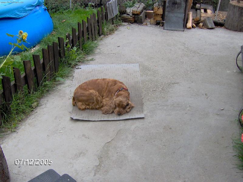 Foto: moje zlat��ko