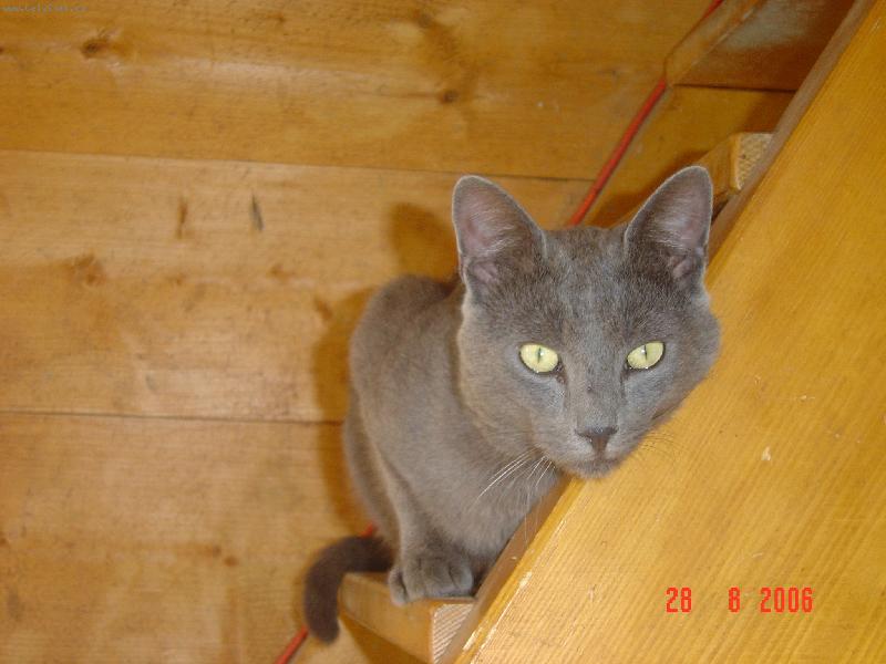 Foto: �edou