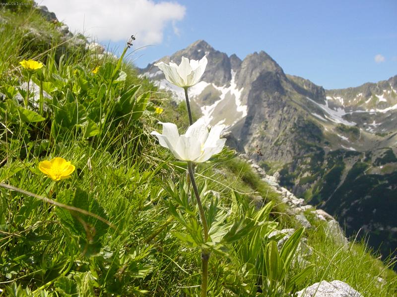 Foto: Tatry