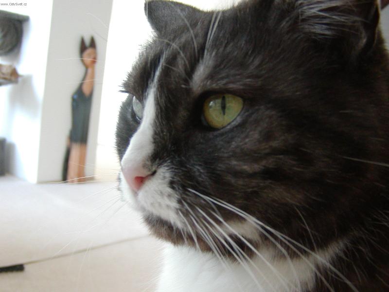 Foto: Margaret