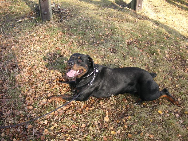 Foto: Rex