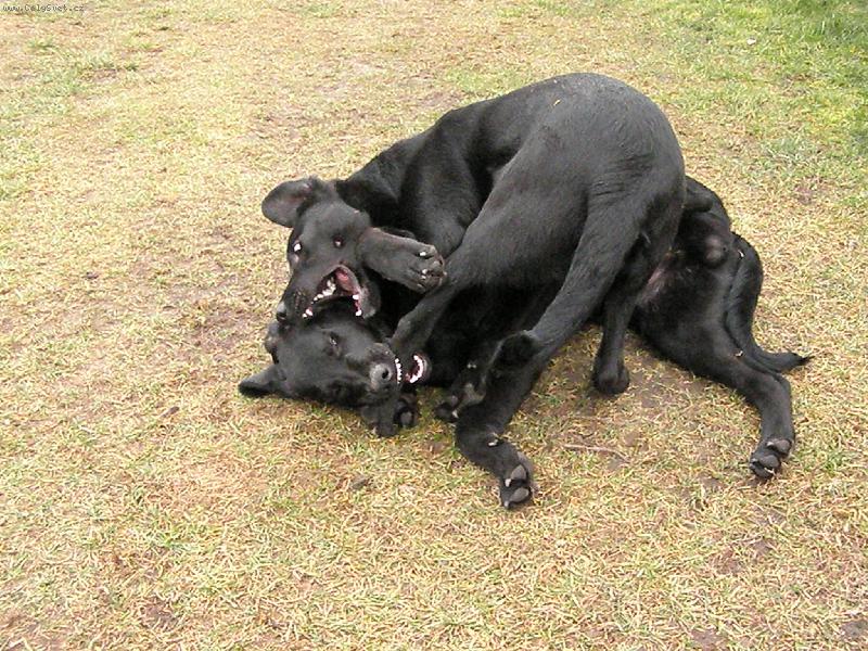 Foto: Bara & Ben