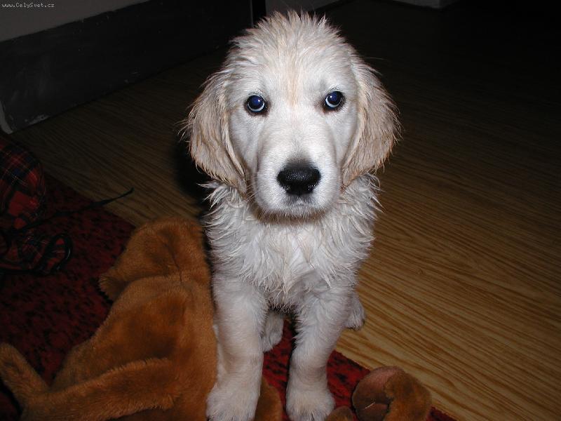 Foto: Megginka