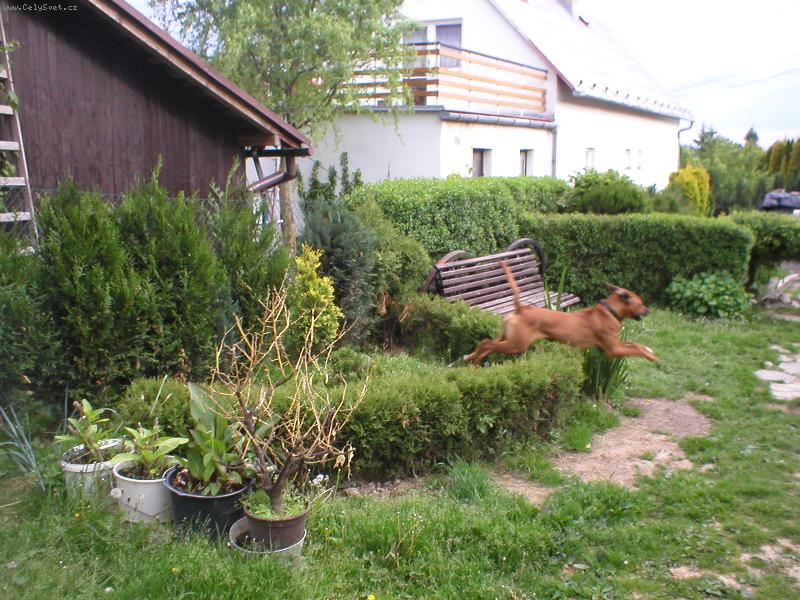 Foto: Cooper-Skok