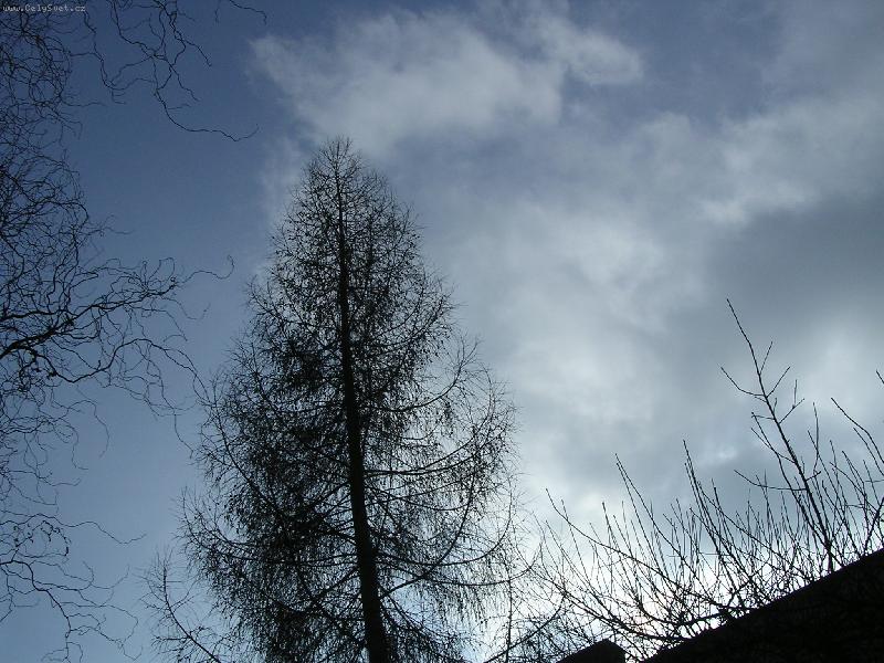 Foto: =o)