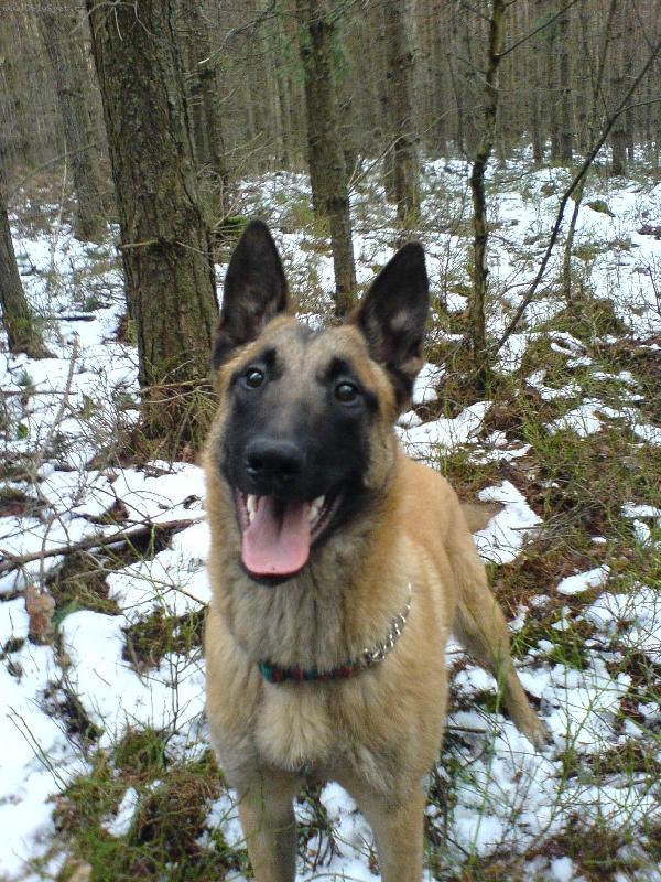 Foto: Bramo