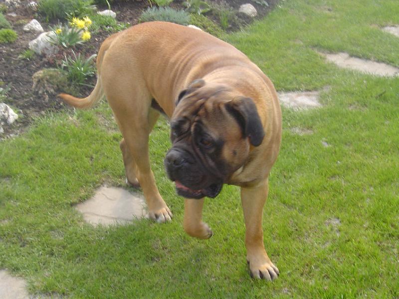 Foto: Monty-Monty