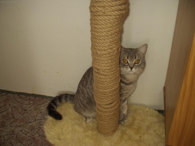 Foto: Miky