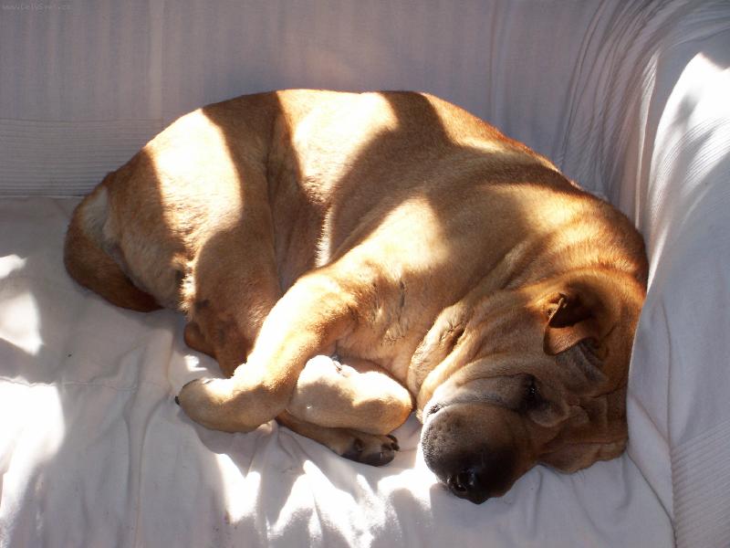 Foto: maxi opet