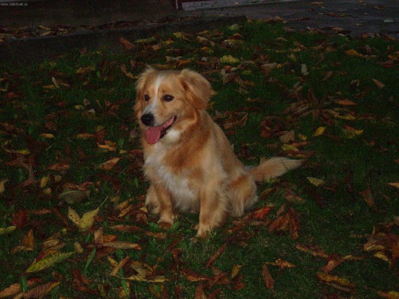Foto: Miky