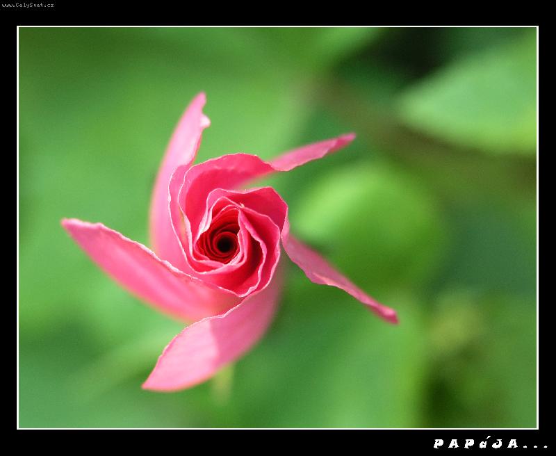Foto: Vrtule
