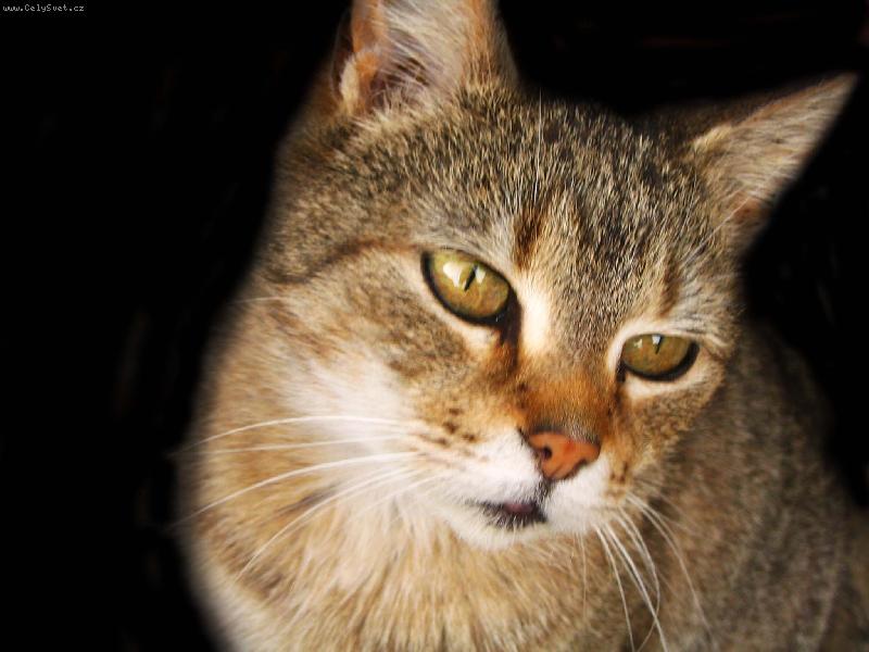 Foto: Miky