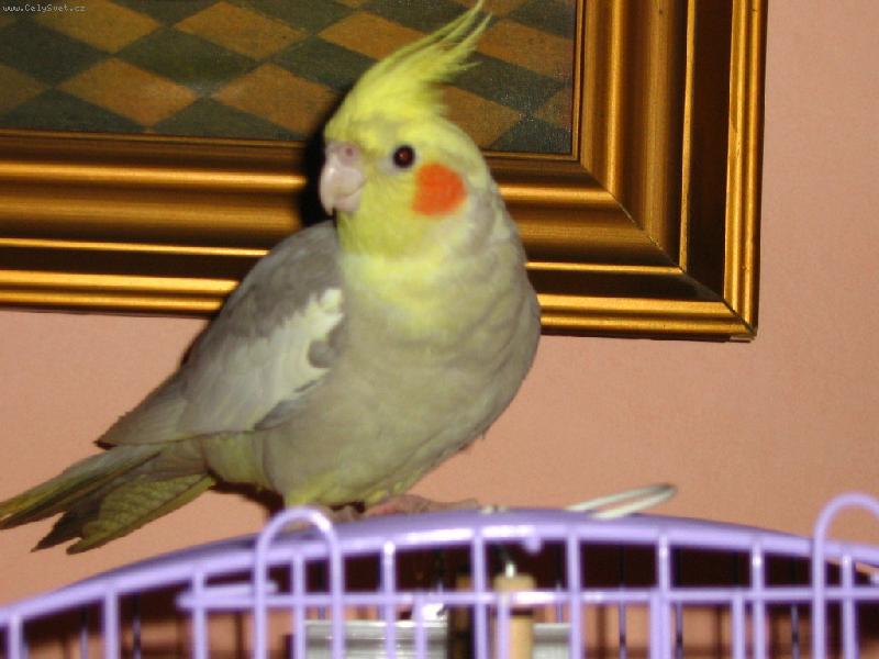 Foto: Lora!