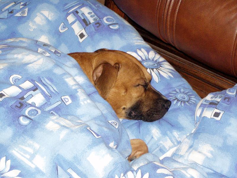Foto: Dobrou noc