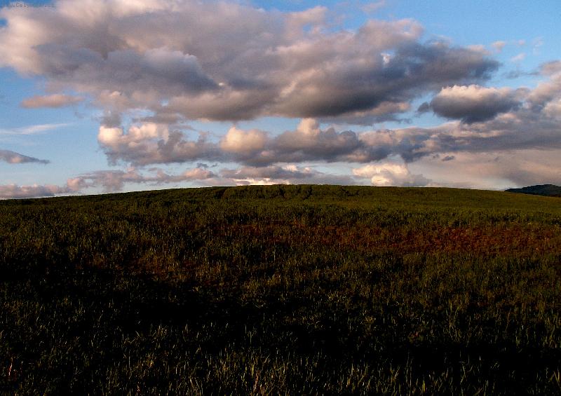 Foto: Horizont