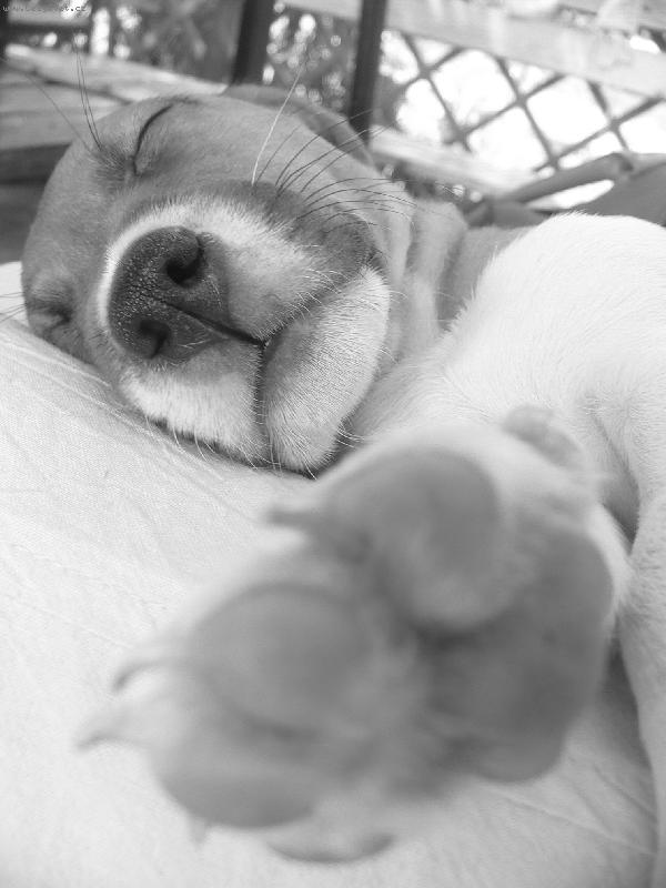 Foto: Jackie